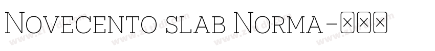 Novecento slab Norma字体转换